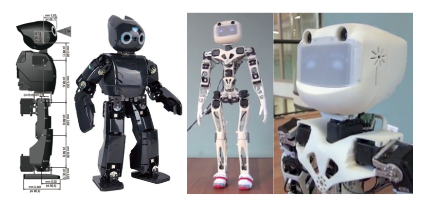 DIY 3D printed humanoid robot