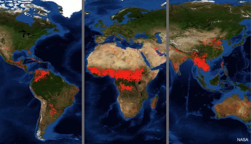 Forest Fires Worldwide NASA Map